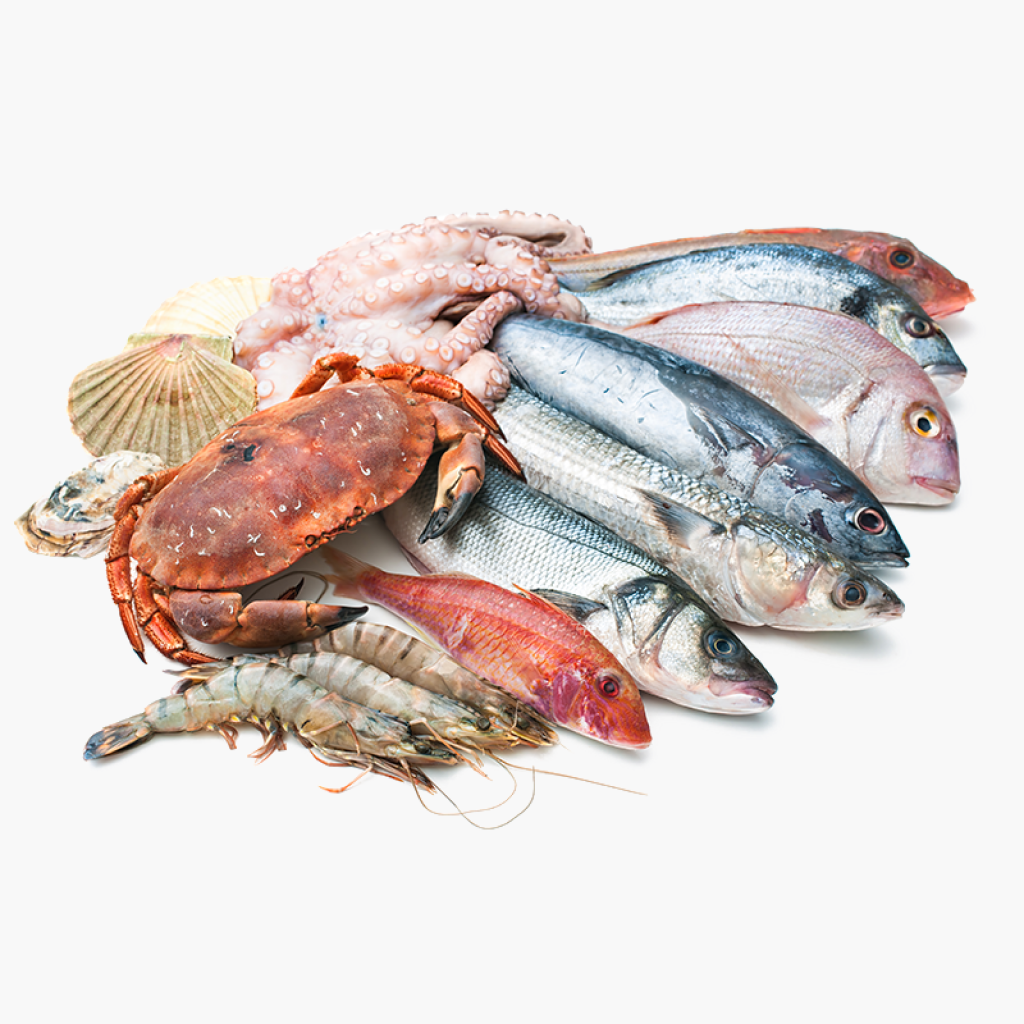 Picture for category Fish and shrimp